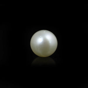 South Sea Pearl  - 10 Carat  - Pramogh