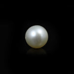South Sea Pearl  - 11.7 Carat  - Pramogh