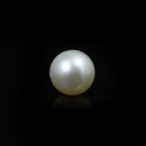 South Sea Pearl  - 11.7 Carat  - Pramogh