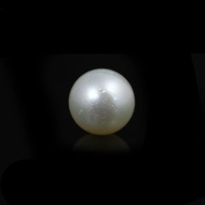 South Sea Pearl  - 11 Carat  - Pramogh