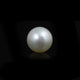 South Sea Pearl  - 11 Carat  - Pramogh