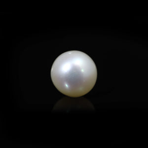 South Sea Pearl  - 11.7 Carat  - Pramogh
