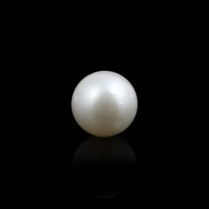 South Sea Pearl  - 10.6 Carat  - Pramogh