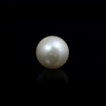 Pearl - 8.8 Carat