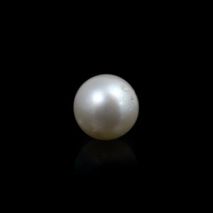 South Sea Pearl  - 11.05 Carat  - Pramogh