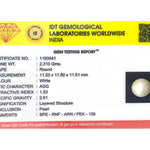 Pearl - 11.55 Carat