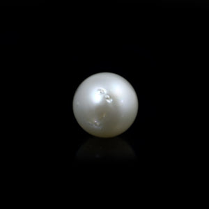 South Sea Pearl  - 11.5 Carat  - Pramogh
