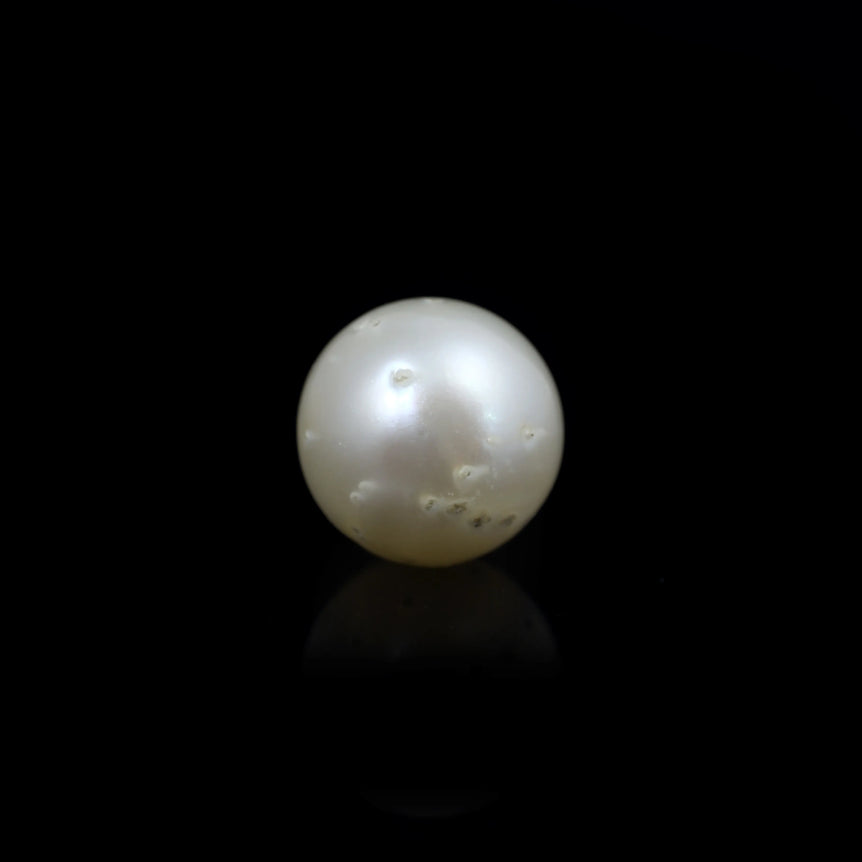 Pearl - 9.8 Carat