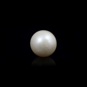 South Sea Pearl  - 8.1 Carat  - Pramogh