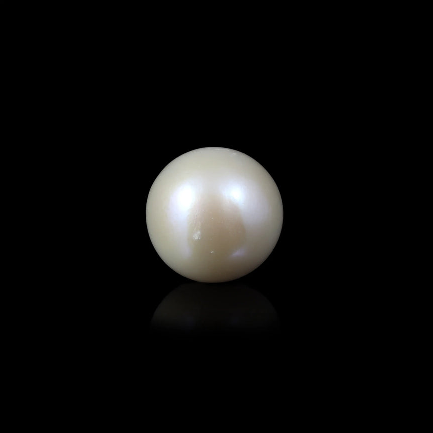 Pearl - 6.45 Carat