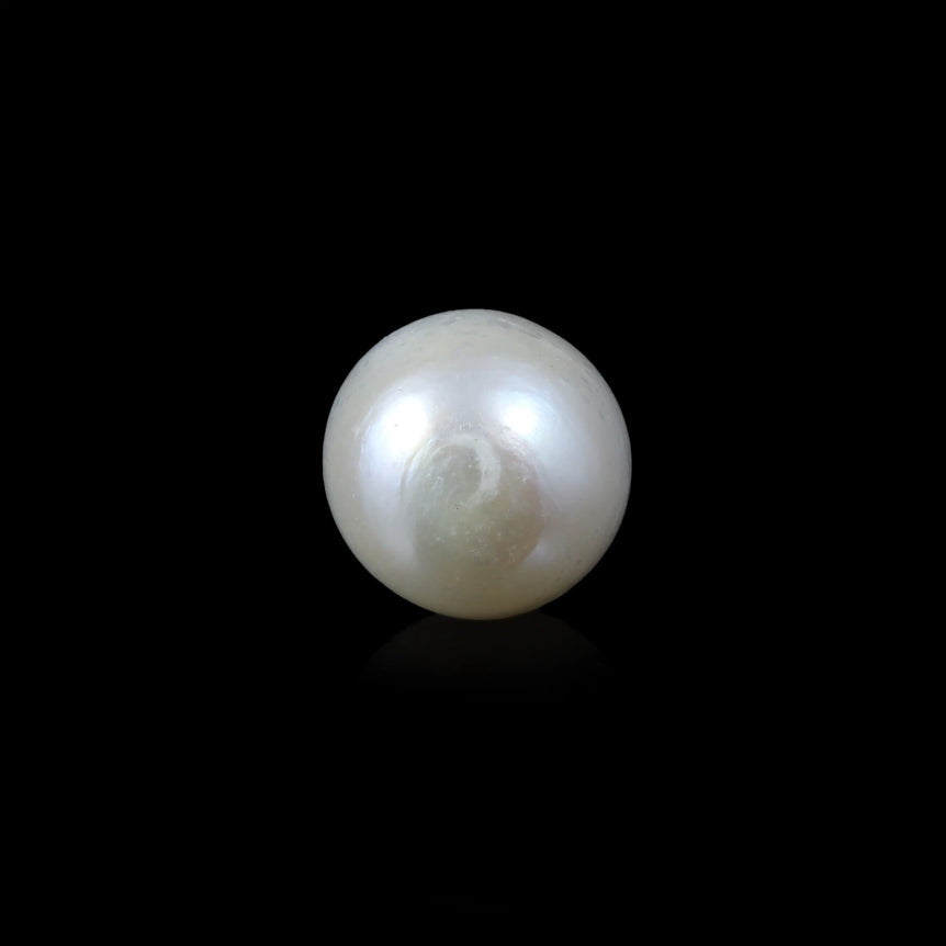 Pearl - 5.85 Carat