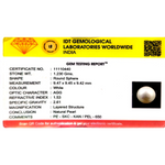 Pearl - 6.15 Carat