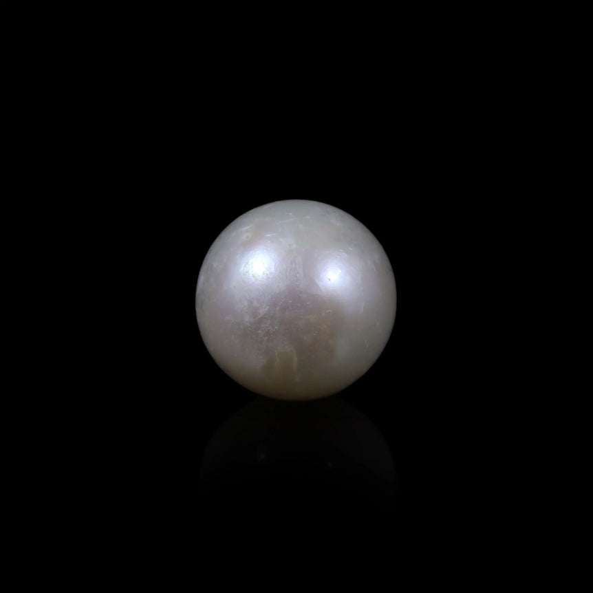 Pearl - 5.85 Carat