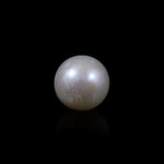 Pearl - 5.85 Carat