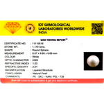 Pearl - 5.85 Carat
