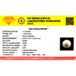 Pearl - 6.35 Carat