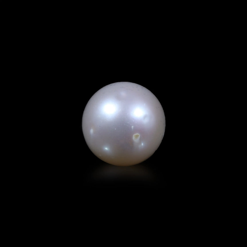 Pearl - 5.9 Carat