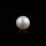 Pearl - 5.85 Carat