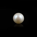 Pearl (Moti) - 5.05 Carat - Pramogh