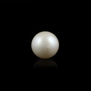 Pearl (Moti) - 6.95 Carat - Pramogh