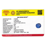 Blue Sapphire - 8.1 Carat - Pramogh