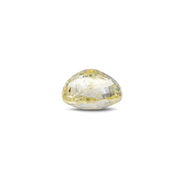 Yellow Sapphire - 3.1 Carat