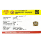 Yellow Sapphire - 3.04 Carat - Pramogh