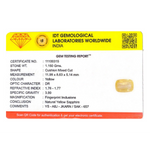 Yellow Sapphire - 5.8 Carat