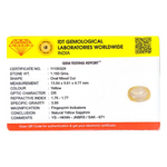 Yellow Sapphire - 5.8 Carat