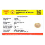 Yellow Sapphire - 8.35 Carat