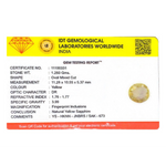 Yellow Sapphire - 6.3 Carat