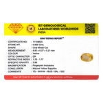 Yellow Sapphire - 3.2 Carat