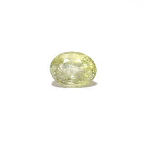 Srilankan Yellow Sapphire - 8.3 Carat - Pramogh