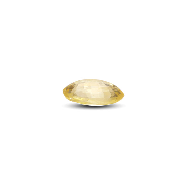 Yellow Sapphire - 3.1 Carat