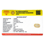 Yellow Sapphire - 3.05 Carat - Pramogh