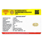 Yellow Sapphire - 3.1 Carat - Pramogh