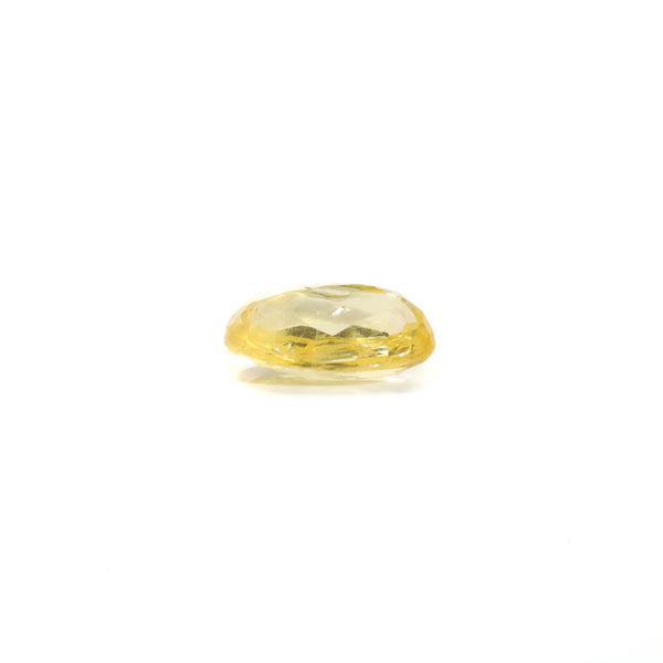 Yellow Sapphire - 2.7 Carat