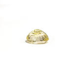 Yellow Sapphire - 3.05 Carat