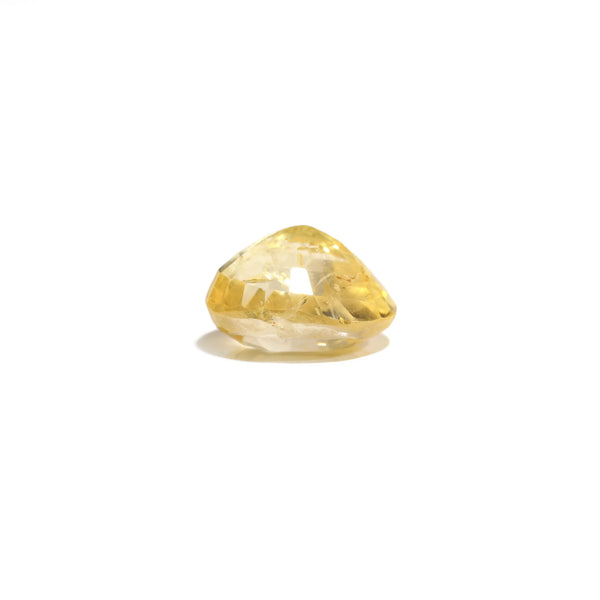 Yellow Sapphire - 3.1 Carat