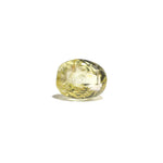 Srilankan Yellow Sapphire - 3.1 Carat - Pramogh