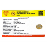 Yellow Sapphire - 3.65 Carat