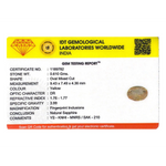 Yellow Sapphire - 3.05 Carat