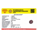 Star Ruby - 13.3 Carat