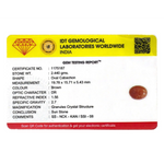 Sun Stone - 12.2 Carat - Pramogh