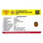 Yellow Sapphire - 7.7 Carat - Pramogh