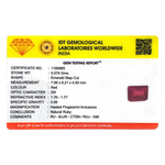 Ruby - 2.87 Carat - Pramogh