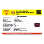 Ruby - 5.65 Carat - Pramogh