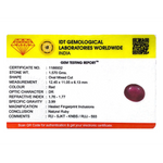 Ruby - 7.85 Carat - Pramogh