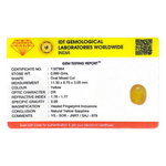 Yellow Sapphire - 3.4 Carat - Pramogh