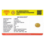 Yellow Sapphire - 3.88 Carat - Pramogh